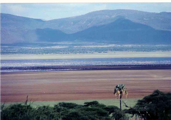 manyara - view