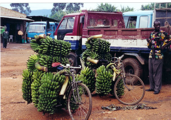 fort portal - banana bike