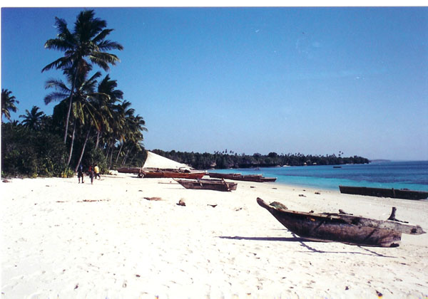 zanzibar - beach