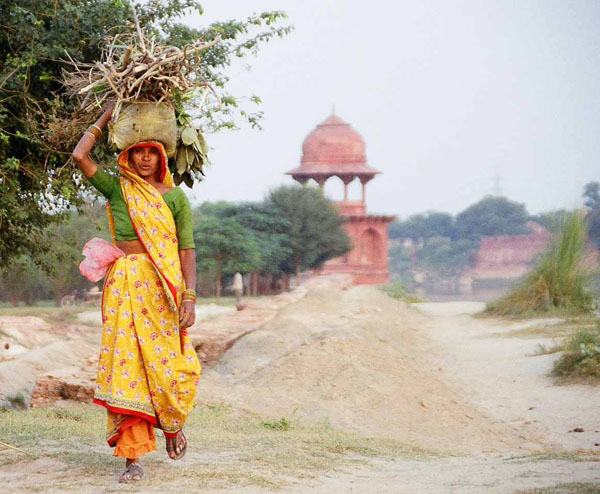 Agra - yellow lady