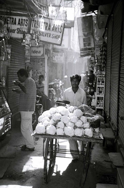 Ajmer - cabbage guy