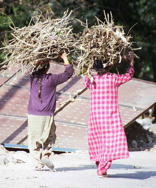 Nainital - wood on heads