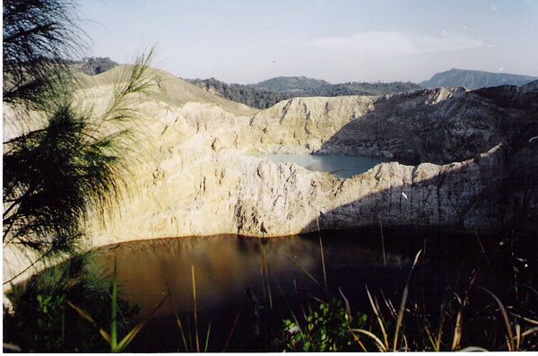 flores - coloured lakes