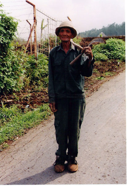 surabaya - gardener