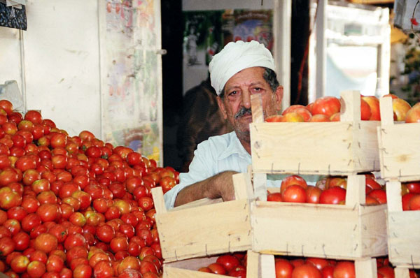 Aswan - tomato guy